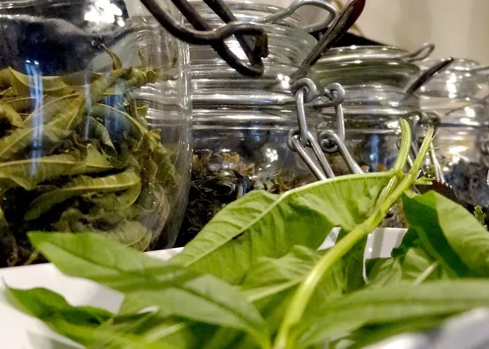 Solar Da Bica São Vicente