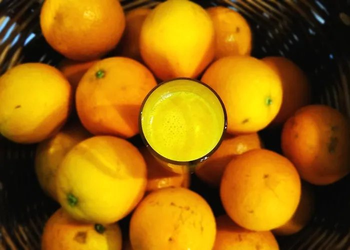 Гостевой дом Solar Da Bica