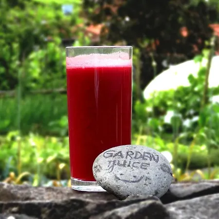 Vendégház Solar Da Bica