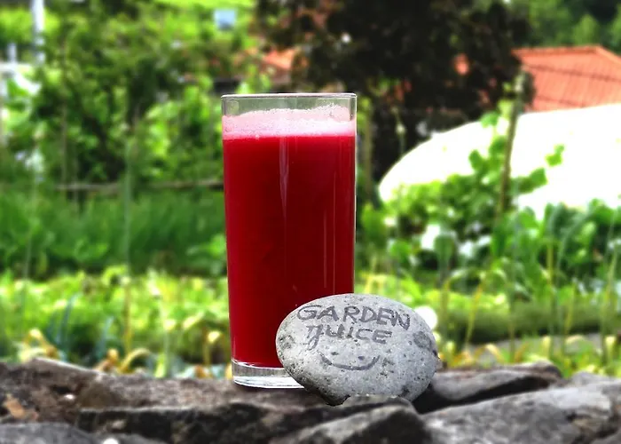 Maison d'hôtes Solar Da Bica